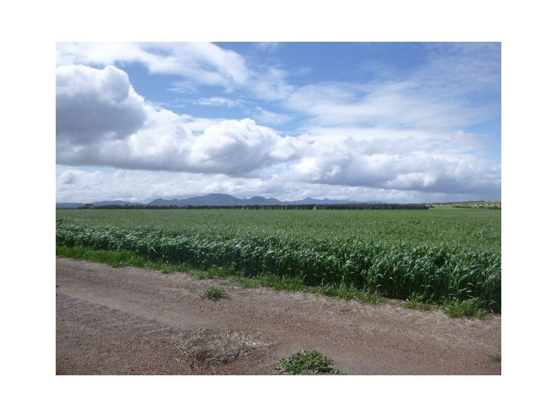 5117 Red Gum Pass Road, Kendenup WA 6323