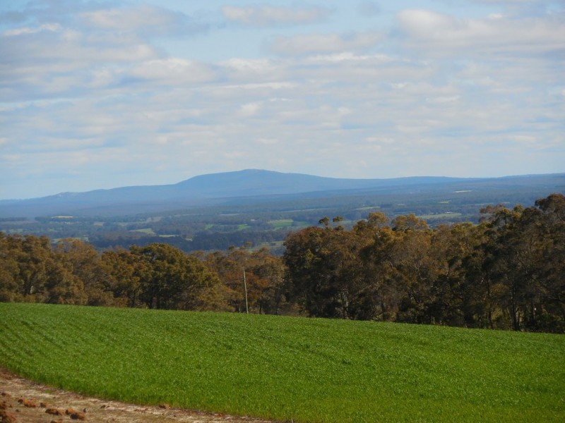 Lot 4766 St Werburghs Road, Mount Barker WA 6324