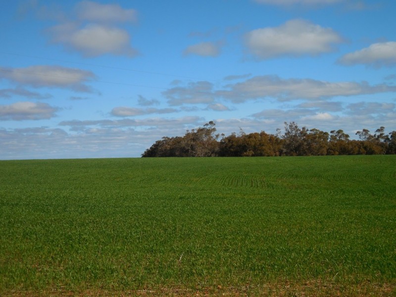 Lot 4766 St Werburghs Road, Mount Barker WA 6324