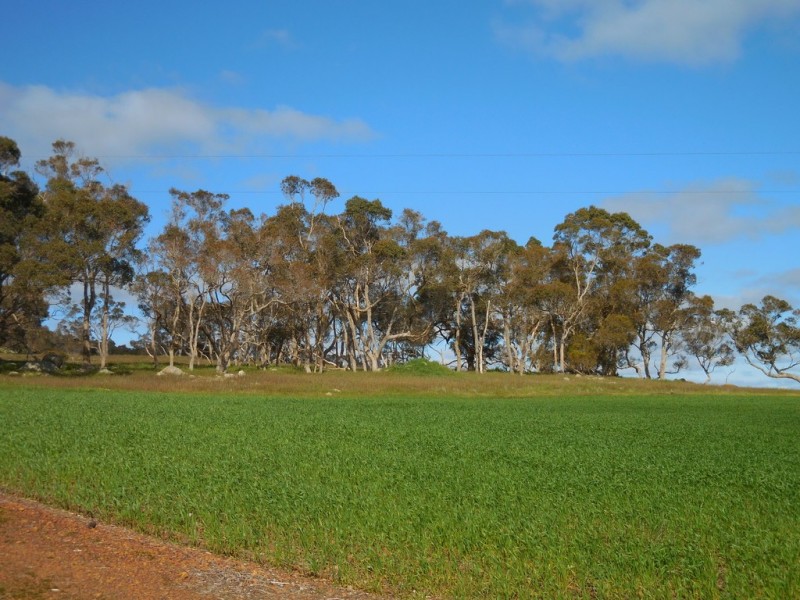 Lot 4766 St Werburghs Road, Mount Barker WA 6324