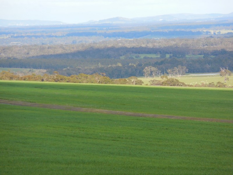 Lot 4766 St Werburghs Road, Mount Barker WA 6324