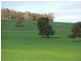 Lot 4766 St Werburghs Road, Mount Barker WA 6324