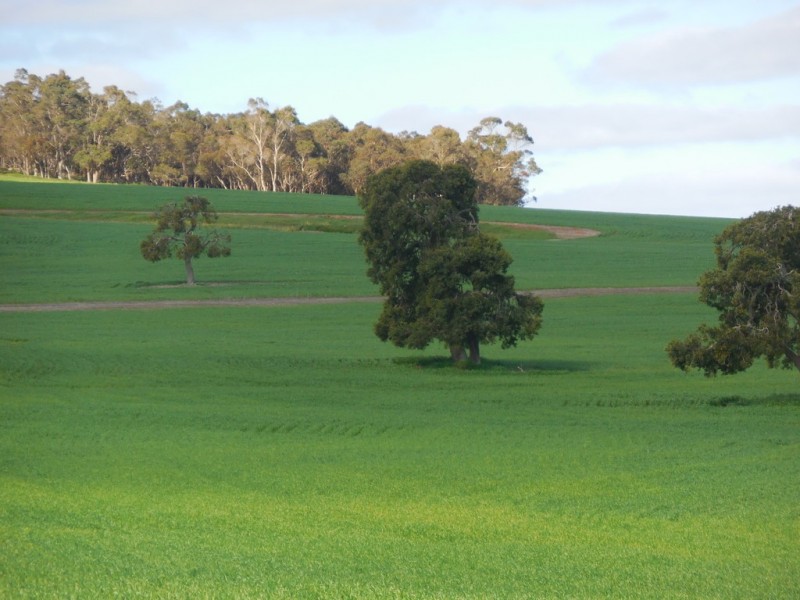 Lot 4766 St Werburghs Road, Mount Barker WA 6324