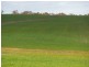 Lot 4766 St Werburghs Road, Mount Barker WA 6324