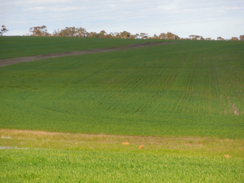 Lot 4766 St Werburghs Road, Mount Barker WA 6324