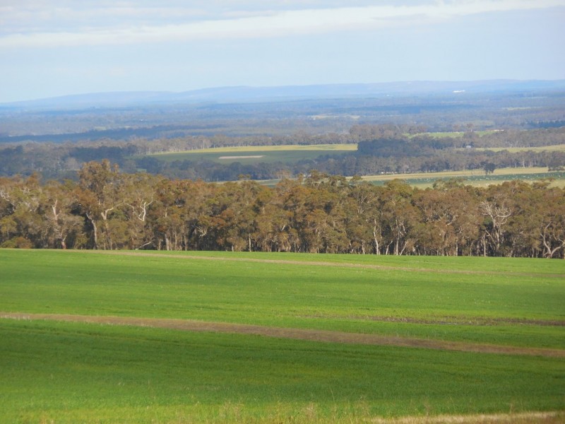 Lot 4766 St Werburghs Road, Mount Barker WA 6324