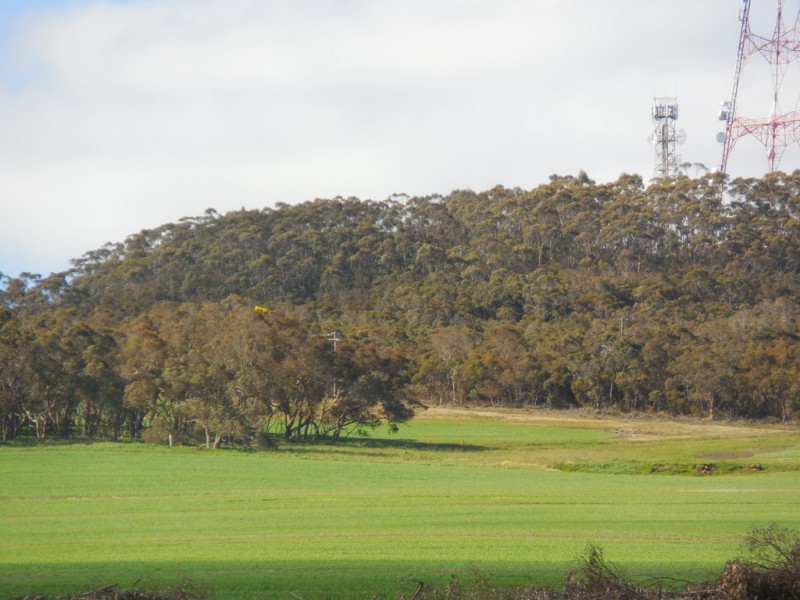 Lot 4766 St Werburghs Road, Mount Barker WA 6324