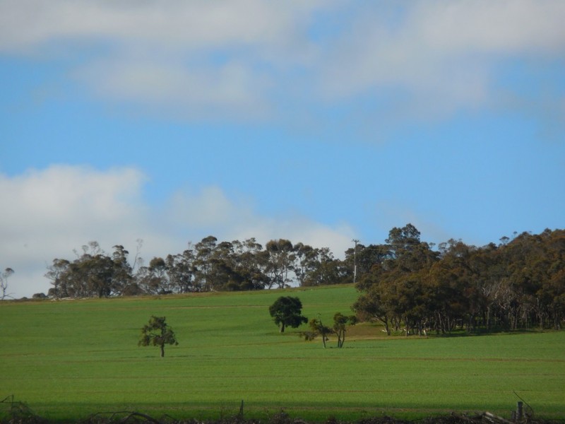Lot 4766 St Werburghs Road, Mount Barker WA 6324