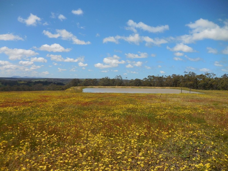 Lot 3 1602 Spencer Road, Narrikup WA 6326