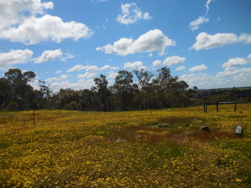 Lot 3 1602 Spencer Road, Narrikup WA 6326