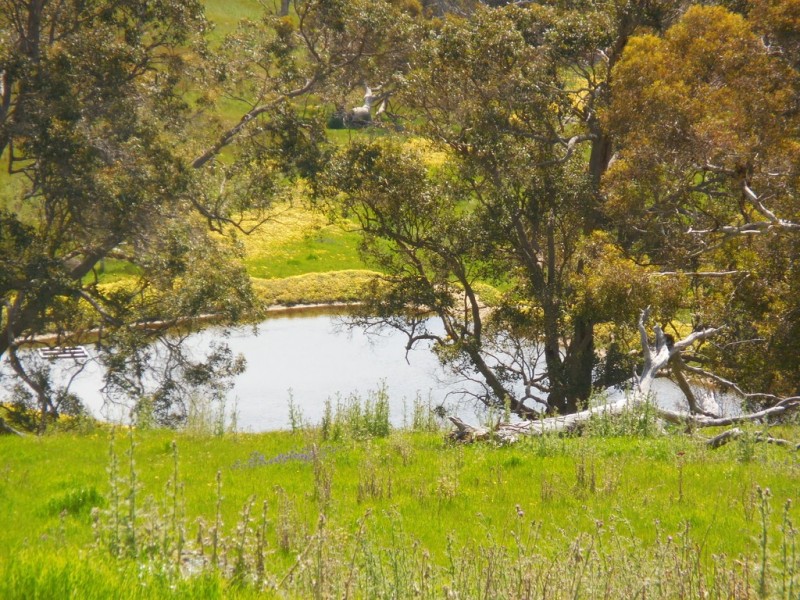 Lot 3 1602 Spencer Road, Narrikup WA 6326