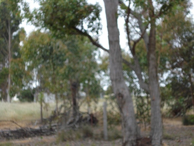 Lot 563 Fifth Avenue, Kendenup WA 6323