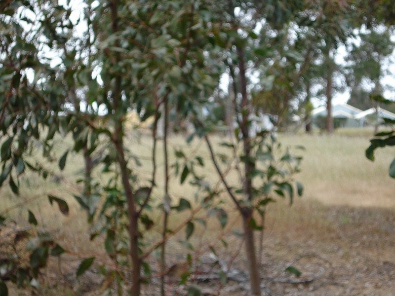 Lot 563 Fifth Avenue, Kendenup WA 6323