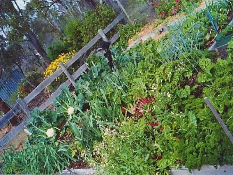 41 Ingoldby Street, Mount Barker WA 6324