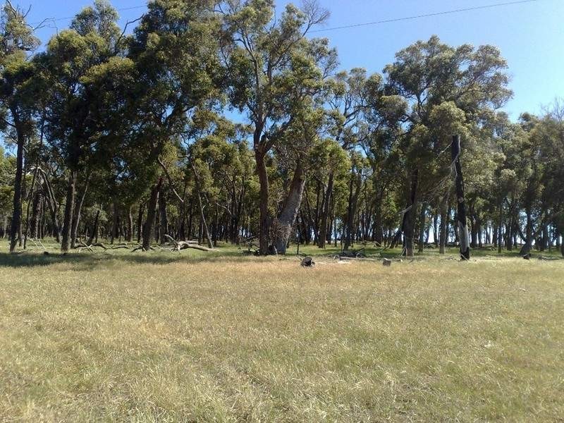 1059 Rocky Gully Road, Rocky Gully WA 6397