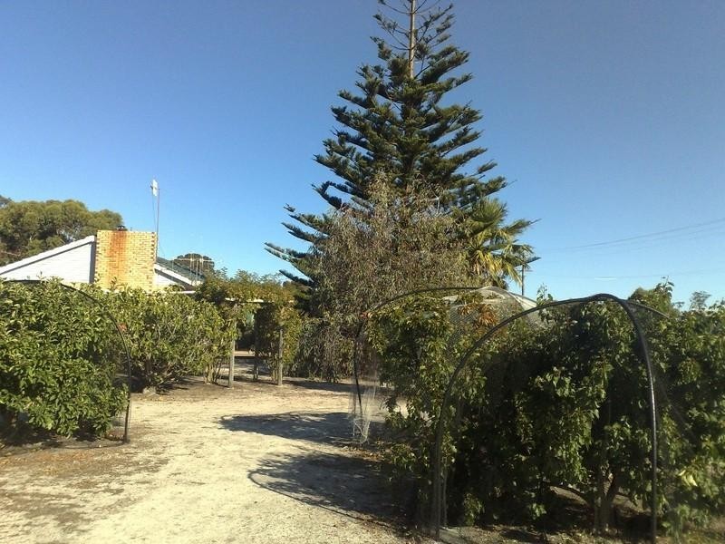 2 Grantham Street, Cranbrook WA 6321