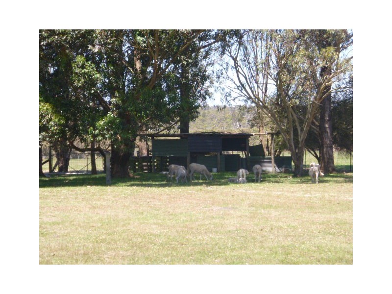 24 Martin Street, Mount Barker WA 6324
