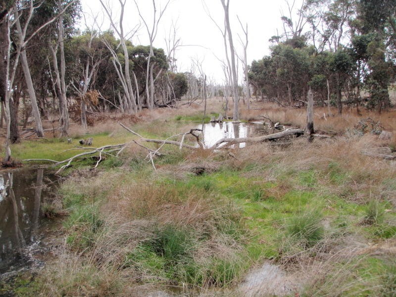 Lot 831 Moorilup Road, Kendenup WA 6323