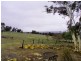 Lot 831 Moorilup Road, Kendenup WA 6323