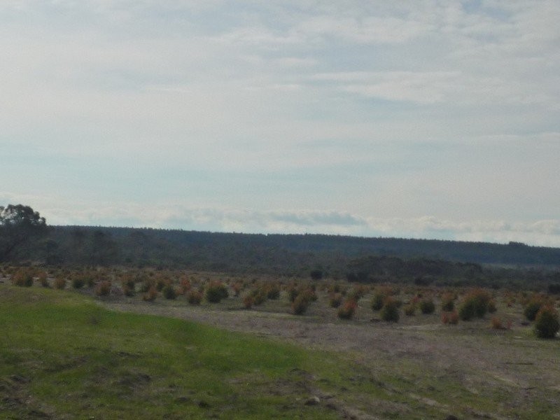 12564 Yarnup Road, Rocky Gully WA 6397