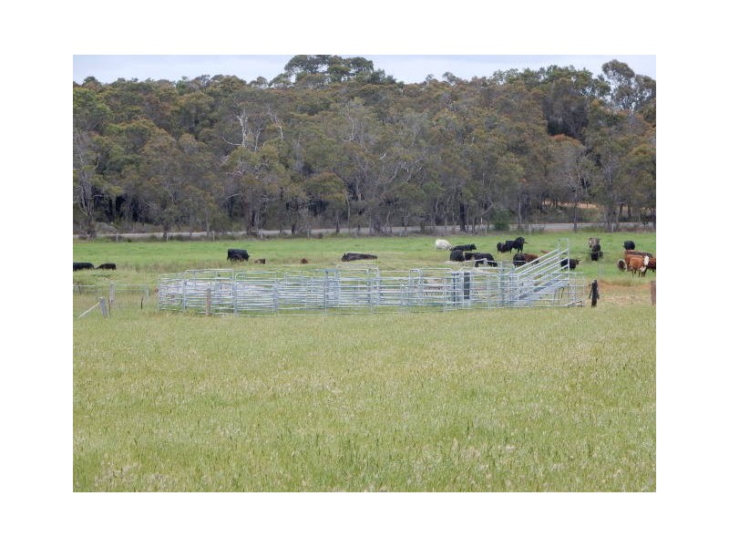 494 Spencer Road, Narrikup WA 6326