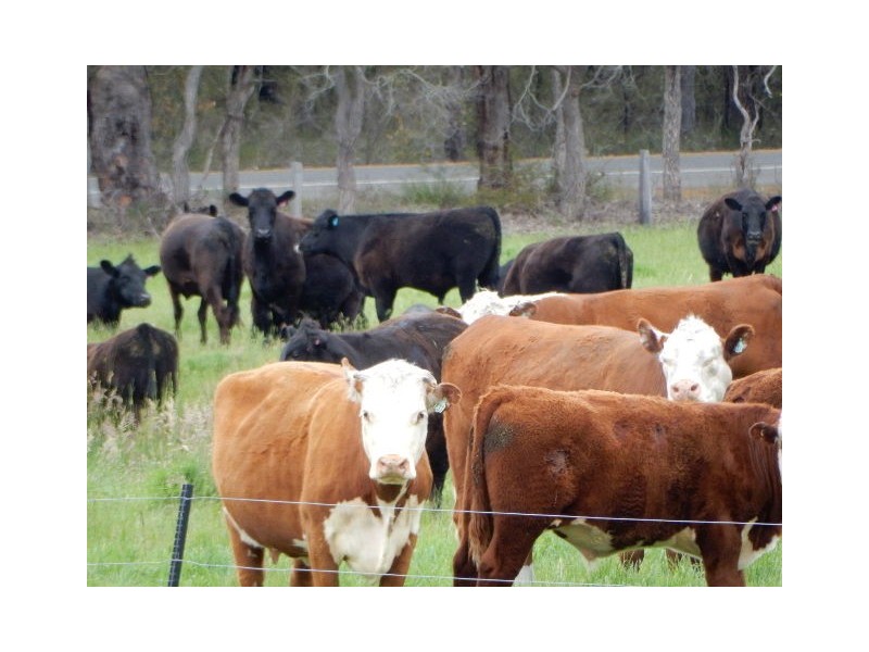 494 Spencer Road, Narrikup WA 6326