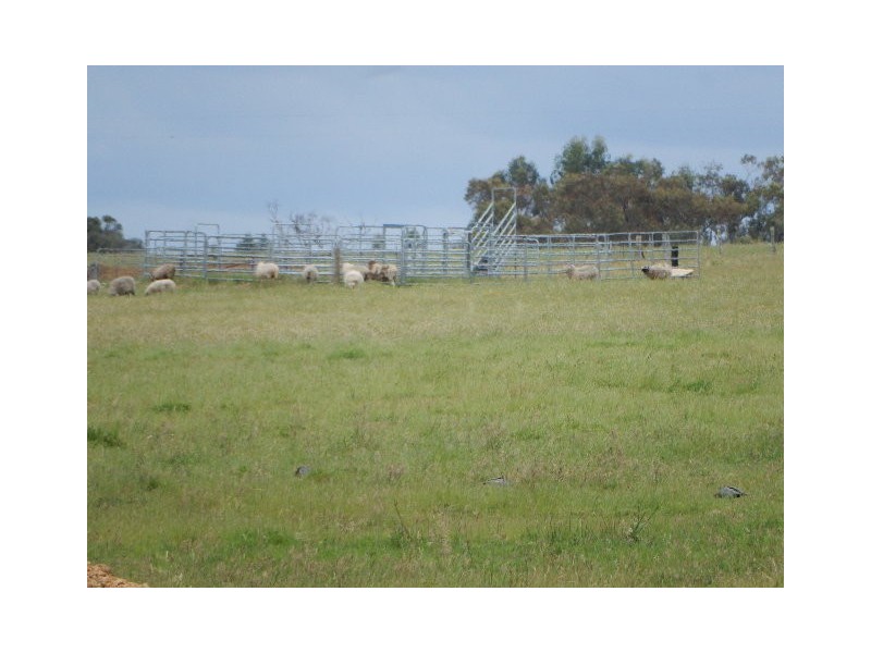 494 Spencer Road, Narrikup WA 6326