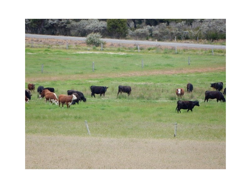 494 Spencer Road, Narrikup WA 6326