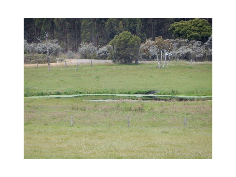 494 Spencer Road, Narrikup WA 6326