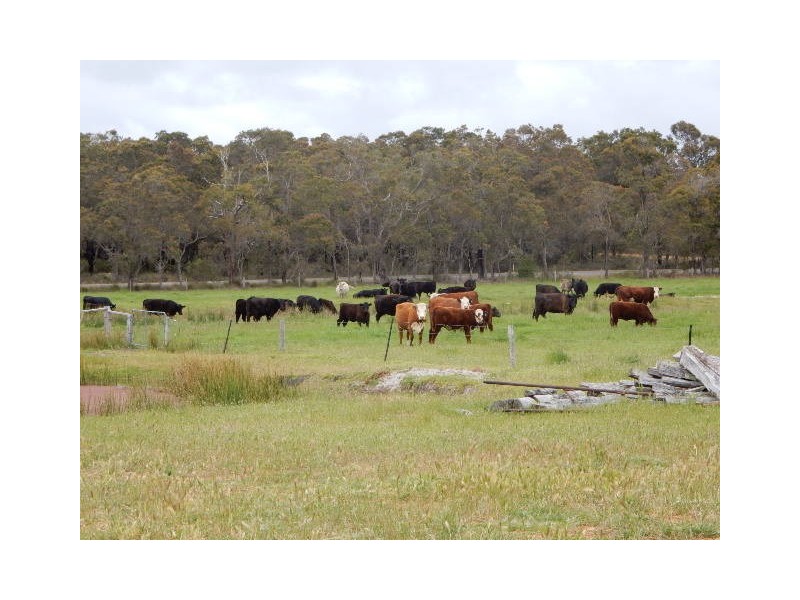 494 Spencer Road, Narrikup WA 6326