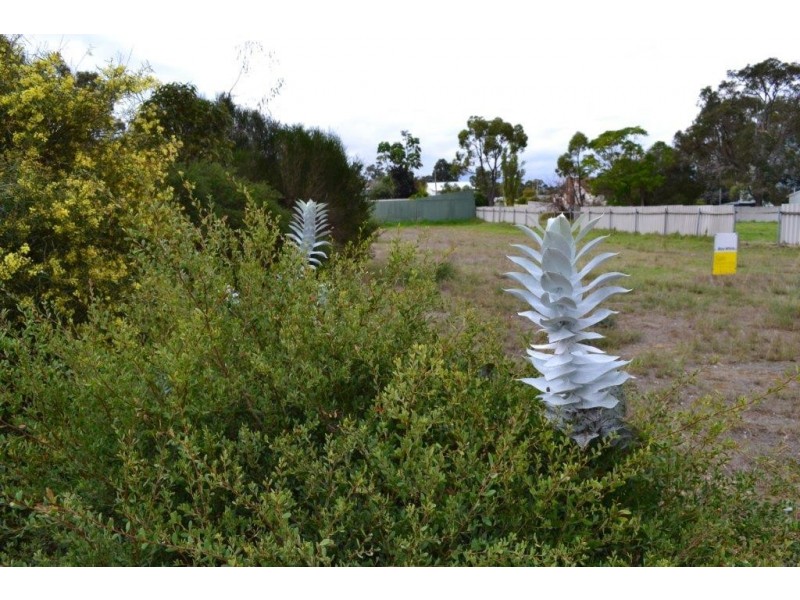 Lot 93 Booth Street, Mount Barker WA 6324