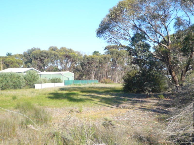 Lot 186 First Avenue, Kendenup WA 6323