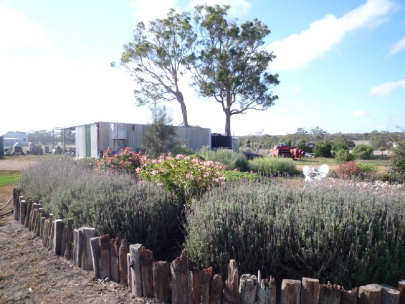 299 Craddock Road, Mount Barker WA 6324