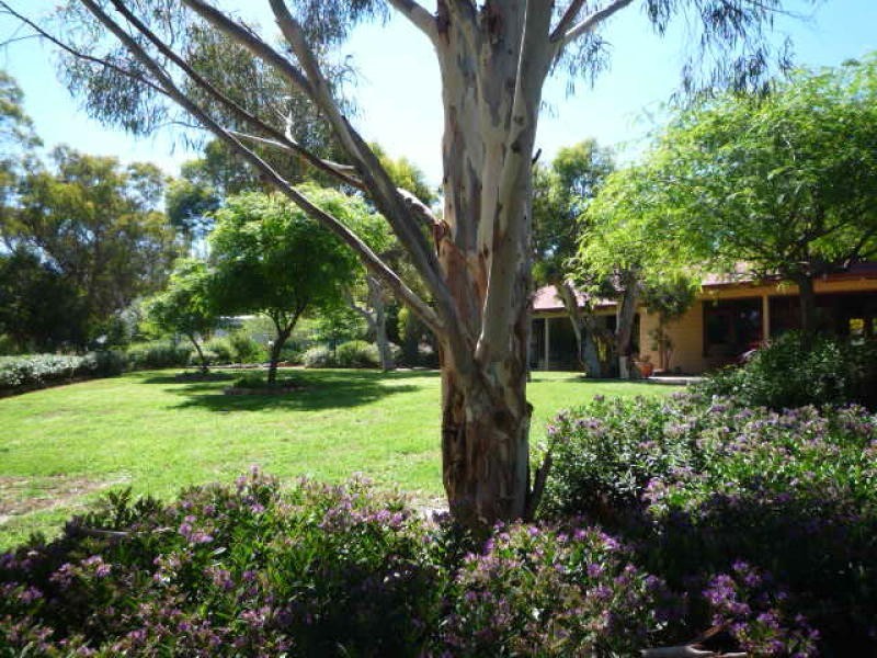 Lot 477 Beattie Road, Mount Barker WA 6324