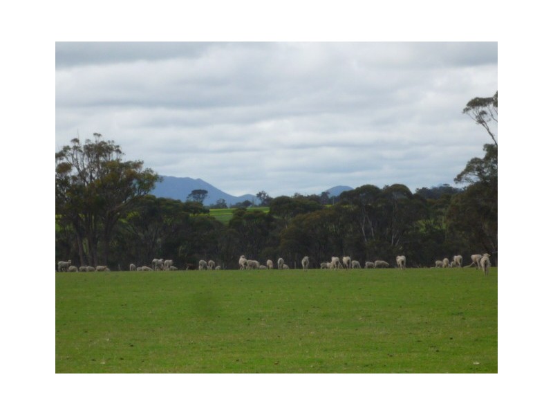 Lot 303 Depledge Road, Kendenup WA 6323