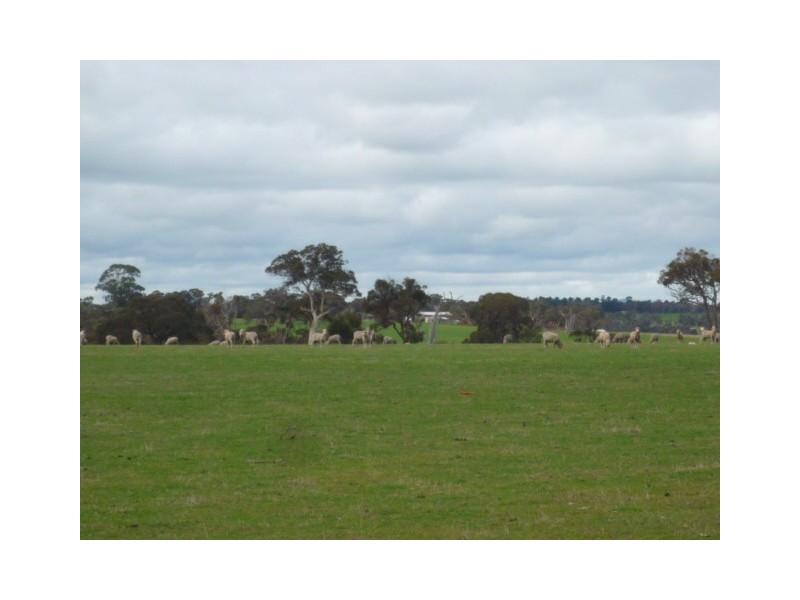 Lot 303 Depledge Road, Kendenup WA 6323