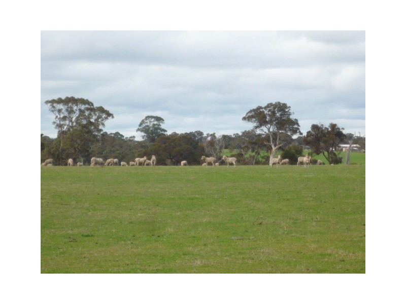 Lot 303 Depledge Road, Kendenup WA 6323