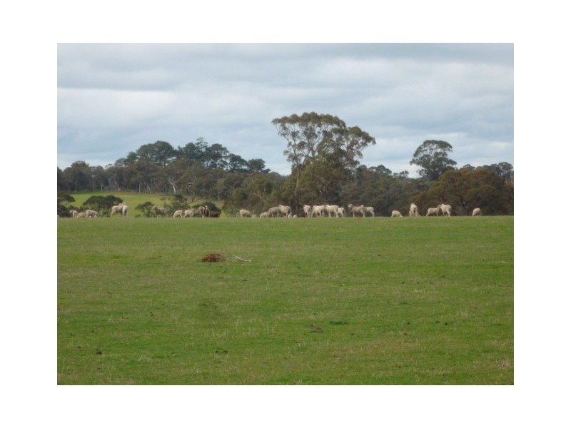 Lot 303 Depledge Road, Kendenup WA 6323