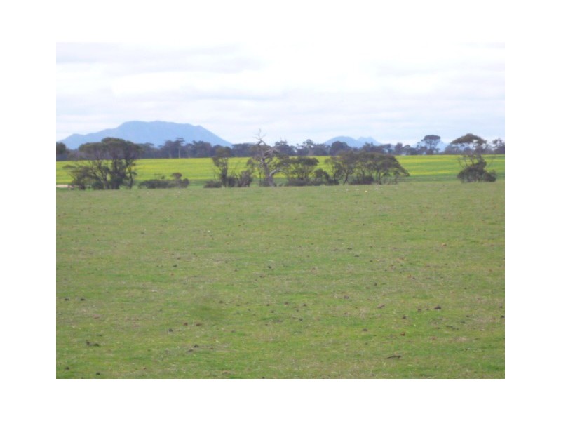 Lot 303 Depledge Road, Kendenup WA 6323