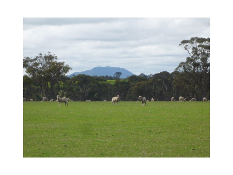 Lot 303 Depledge Road, Kendenup WA 6323