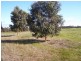Lot 2095 Collins Road, Kendenup WA 6323