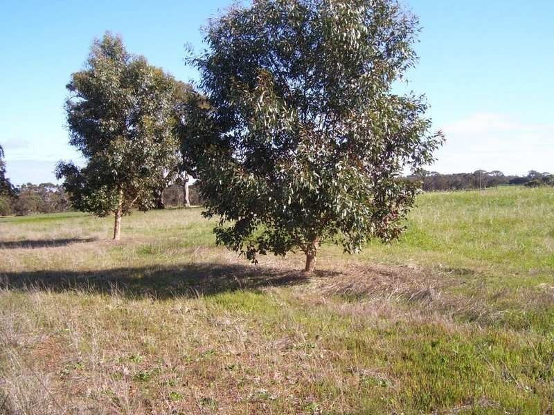 Lot 2095 Collins Road, Kendenup WA 6323