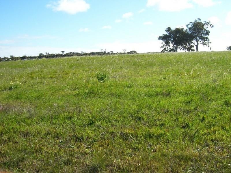 Lot 2095 Collins Road, Kendenup WA 6323