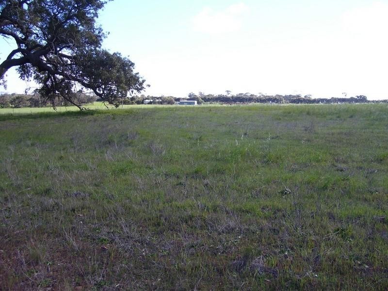 Lot 2095 Collins Road, Kendenup WA 6323