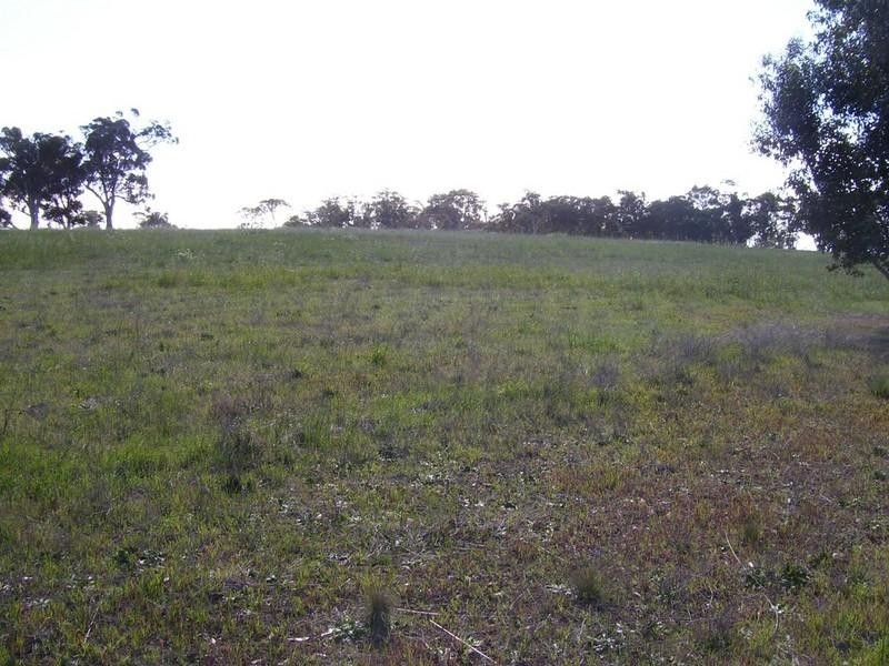 Lot 2095 Collins Road, Kendenup WA 6323