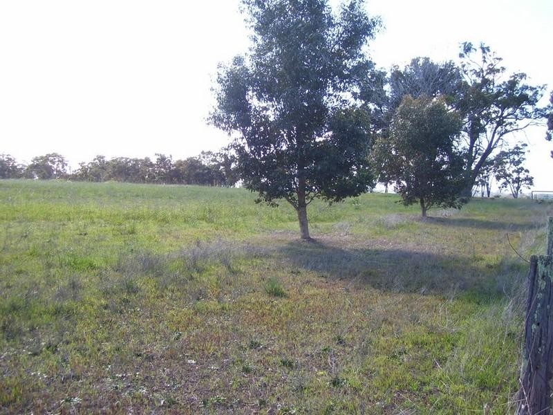 Lot 2095 Collins Road, Kendenup WA 6323