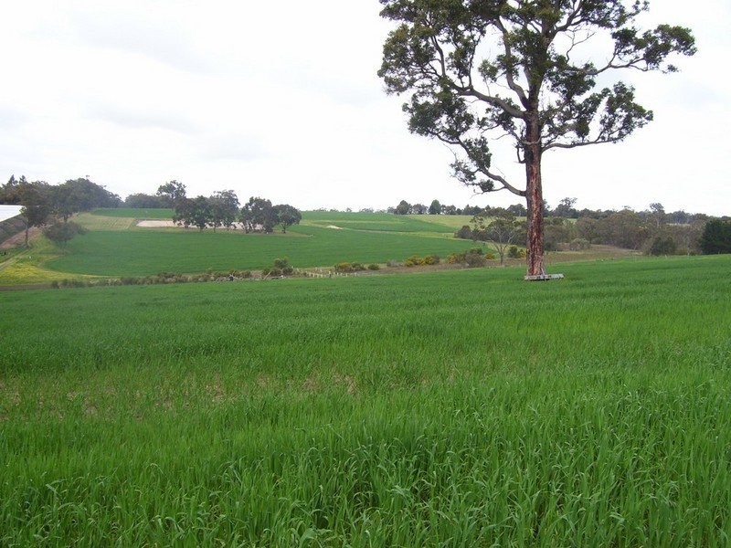 223 Sturdee Rd, Mount Barker WA 6324