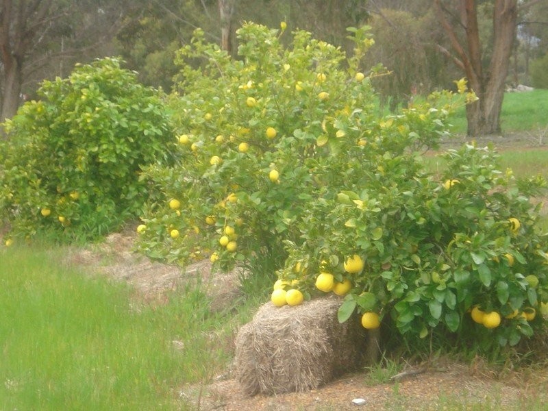 21 Hudson Road, Kendenup WA 6323