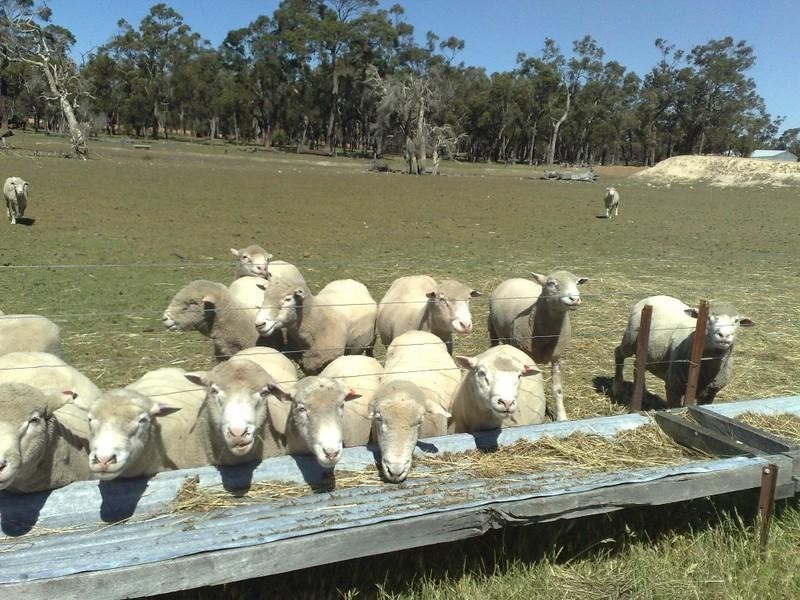 1059 Rocky Gully Road, Mount Barker WA 6324