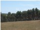 Lot 3 Mt Barker Porongurup Road, Porongurup WA 6324